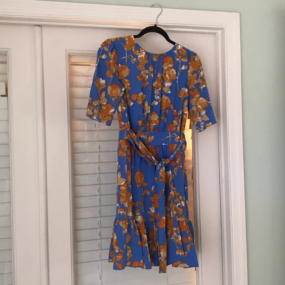 Cynthia Steffe Blue and Orange Floral Midi Dress